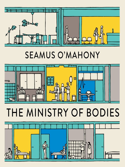 Title details for The Ministry of Bodies by Seamus O'Mahony - Wait list